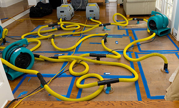 Professional Flood Damage Restoration technician working in Ione, CA